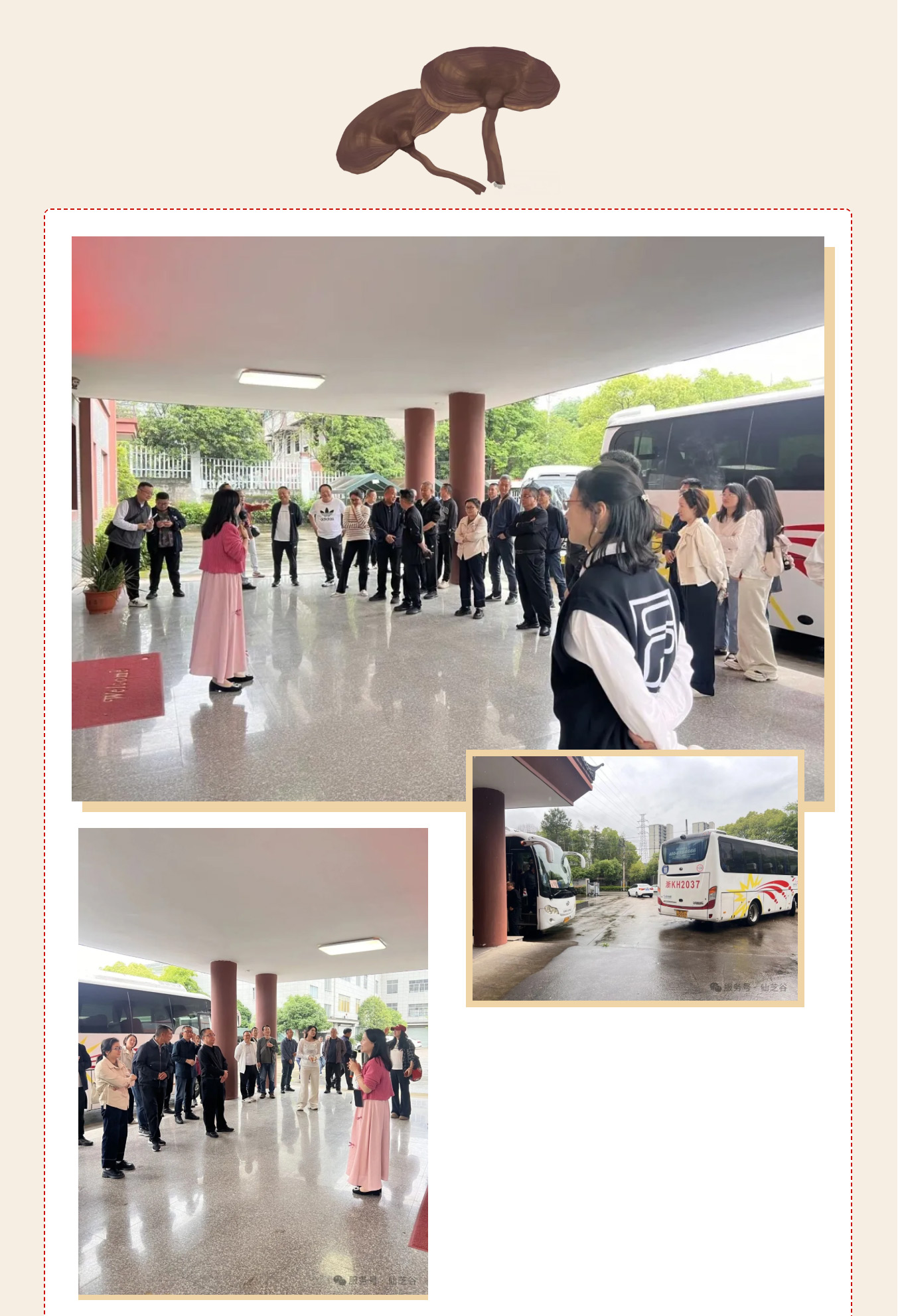 丽水学院四川政协干部培训走进“仙芝谷 ”·共话产业振兴与健康发展(图3)