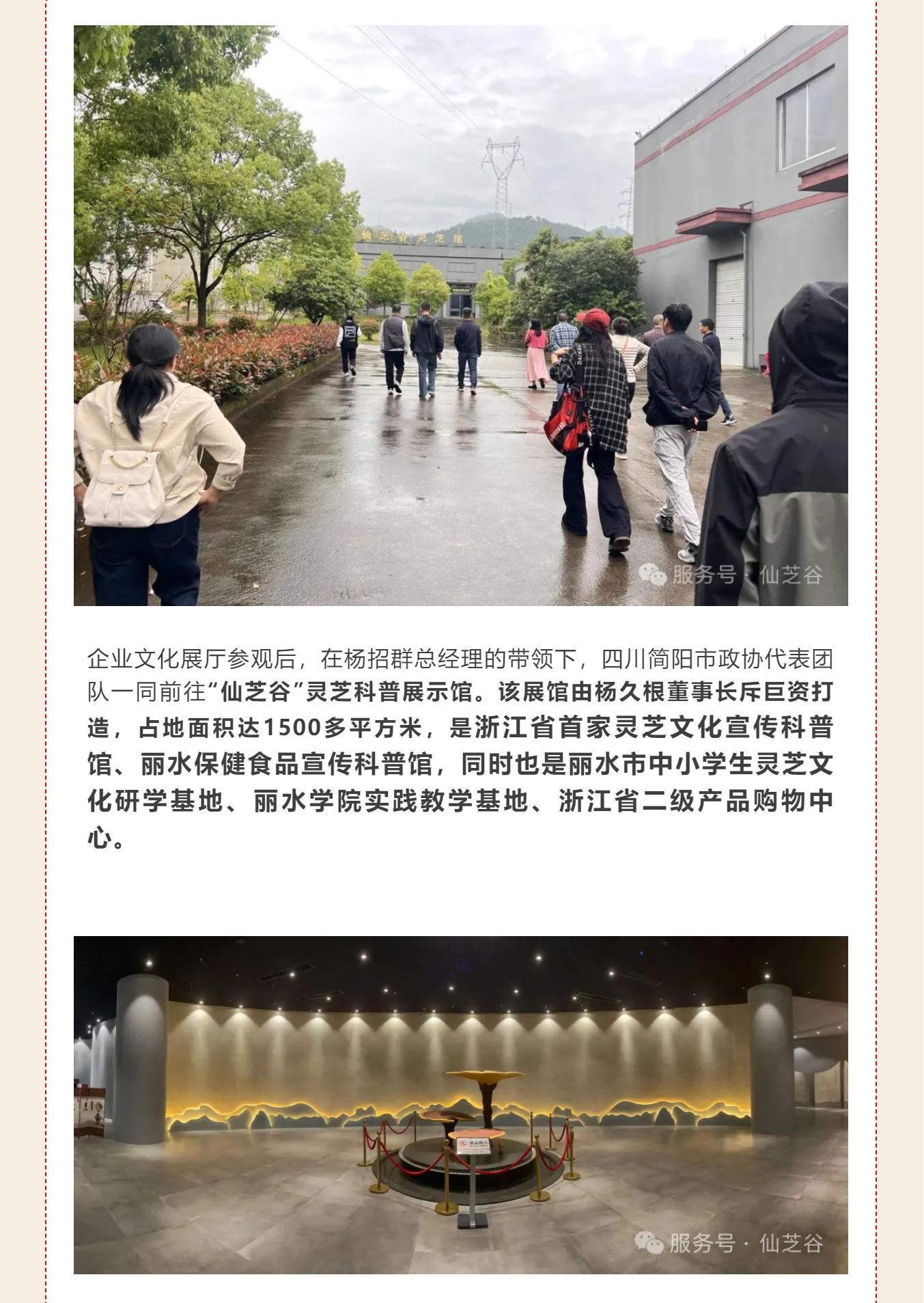丽水学院四川政协干部培训走进“仙芝谷 ”·共话产业振兴与健康发展(图7)