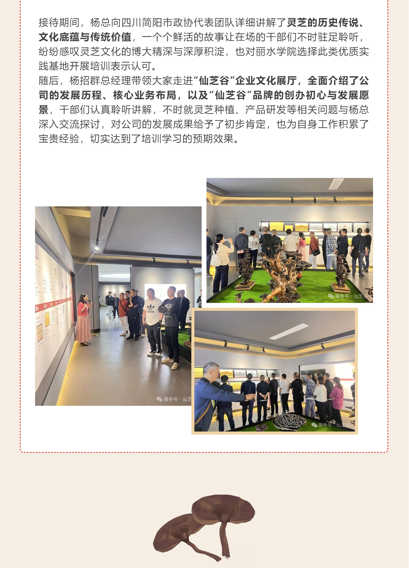 丽水学院四川政协干部培训走进“仙芝谷 ”·共话产业振兴与健康发展(图5)