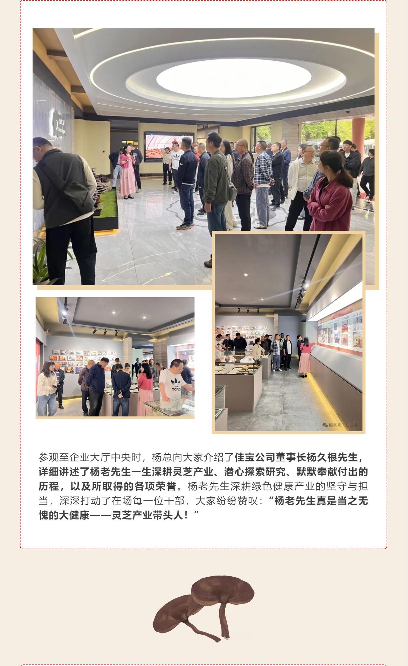 丽水学院四川政协干部培训走进“仙芝谷 ”·共话产业振兴与健康发展(图6)