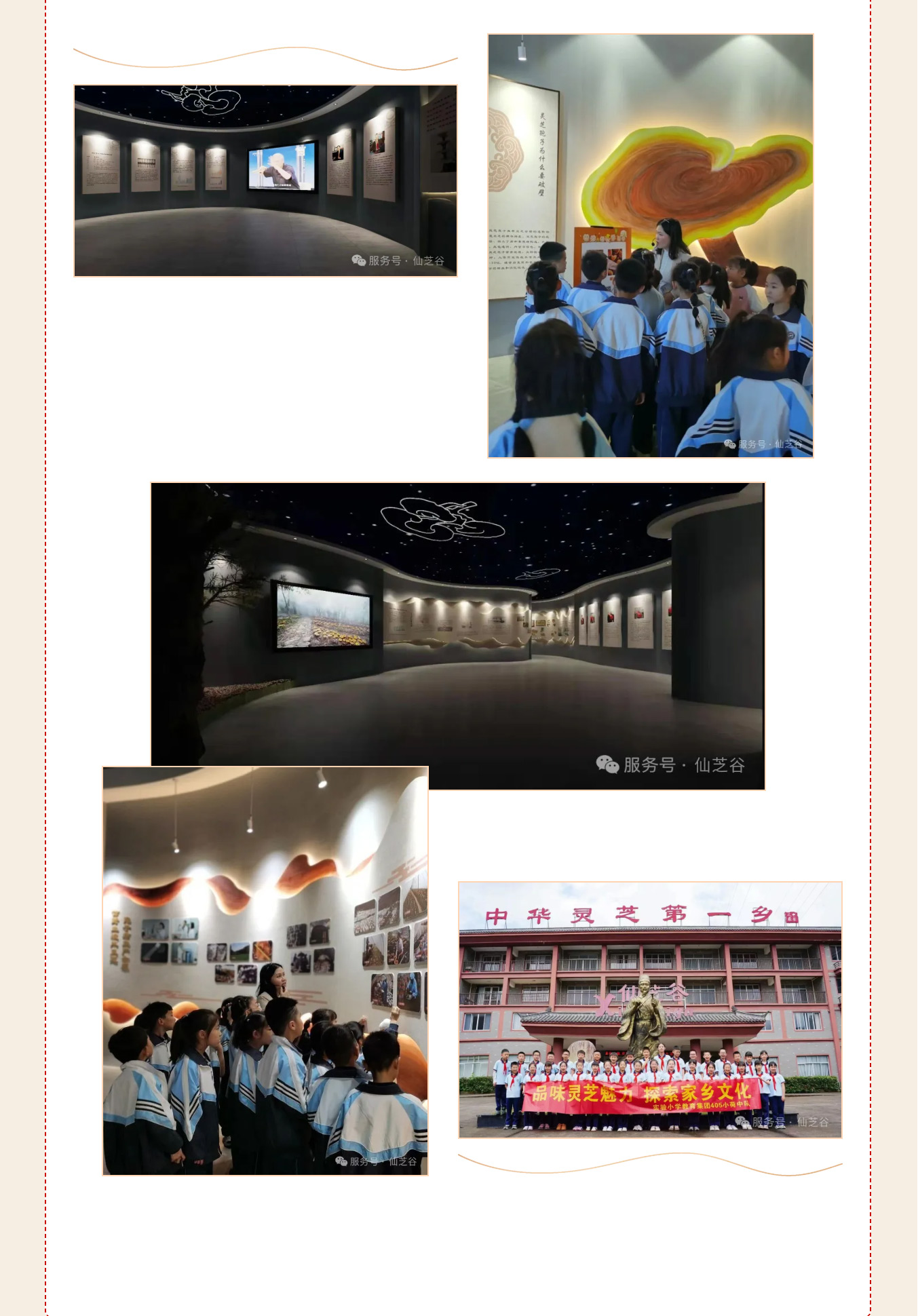 丽水学院四川政协干部培训走进“仙芝谷 ”·共话产业振兴与健康发展(图8)