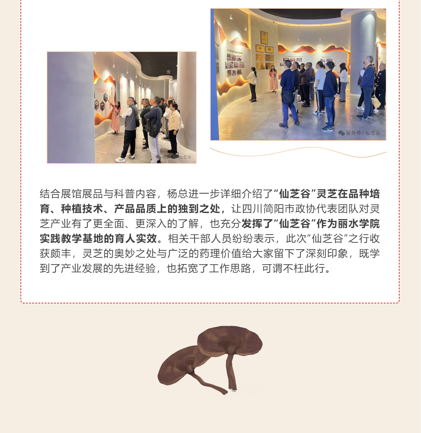 丽水学院四川政协干部培训走进“仙芝谷 ”·共话产业振兴与健康发展(图11)
