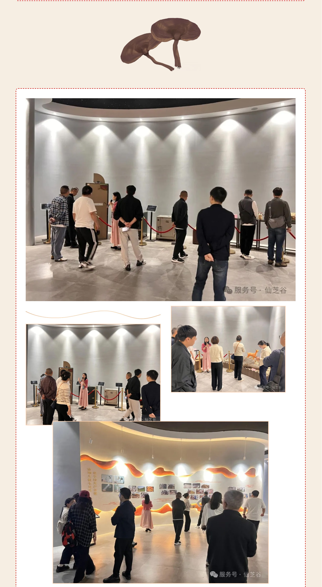 丽水学院四川政协干部培训走进“仙芝谷 ”·共话产业振兴与健康发展(图10)