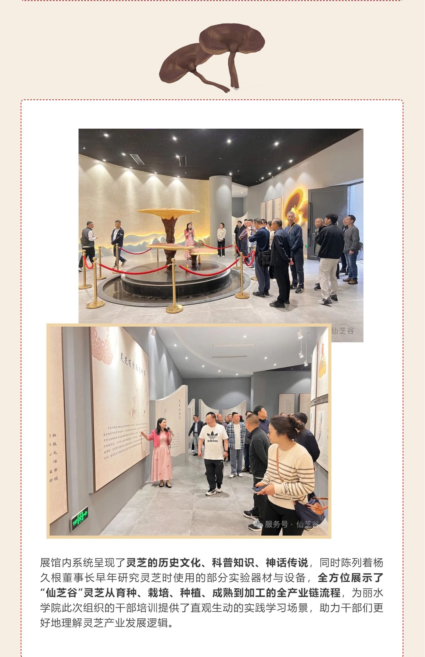 丽水学院四川政协干部培训走进“仙芝谷 ”·共话产业振兴与健康发展(图9)