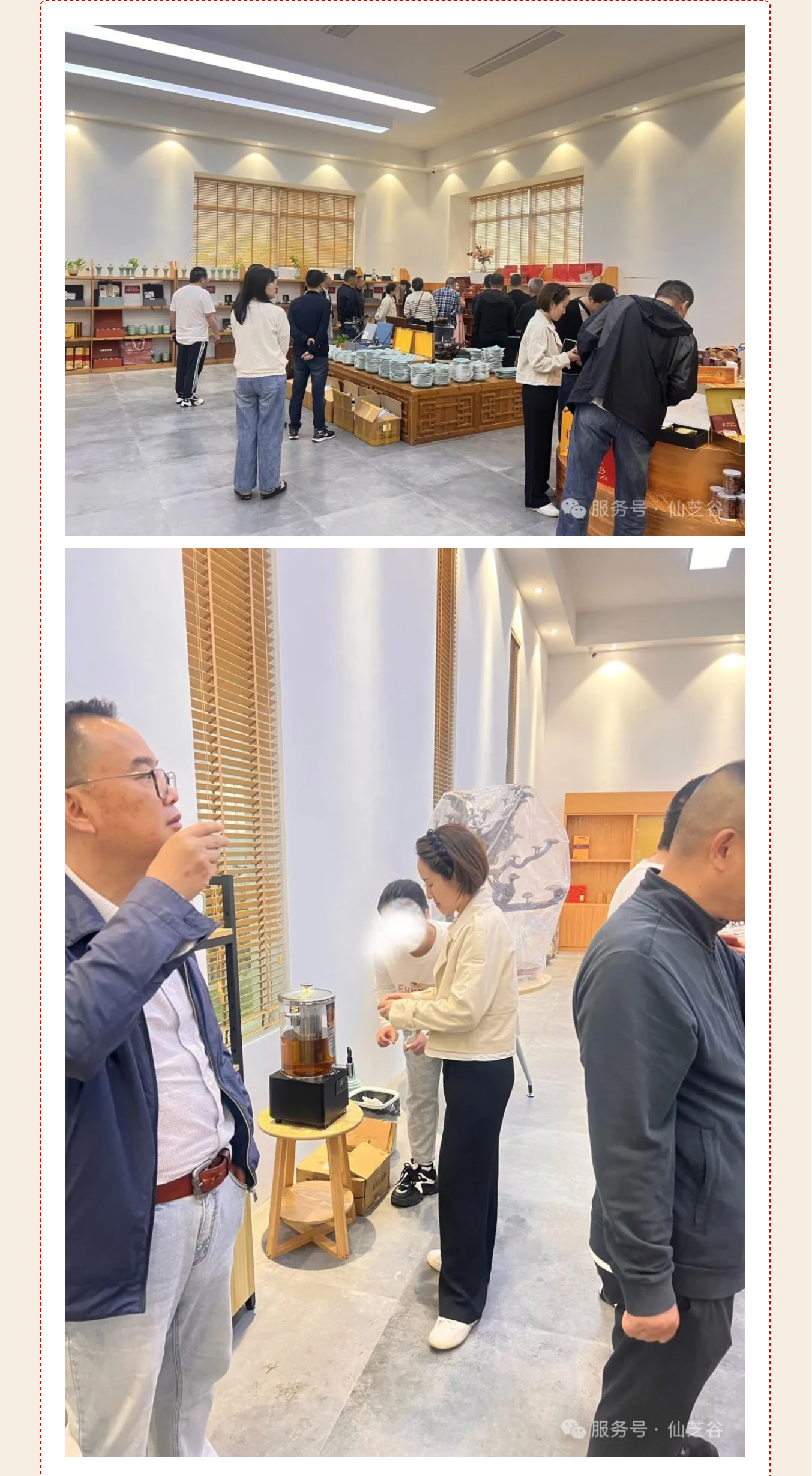 丽水学院四川政协干部培训走进“仙芝谷 ”·共话产业振兴与健康发展(图12)
