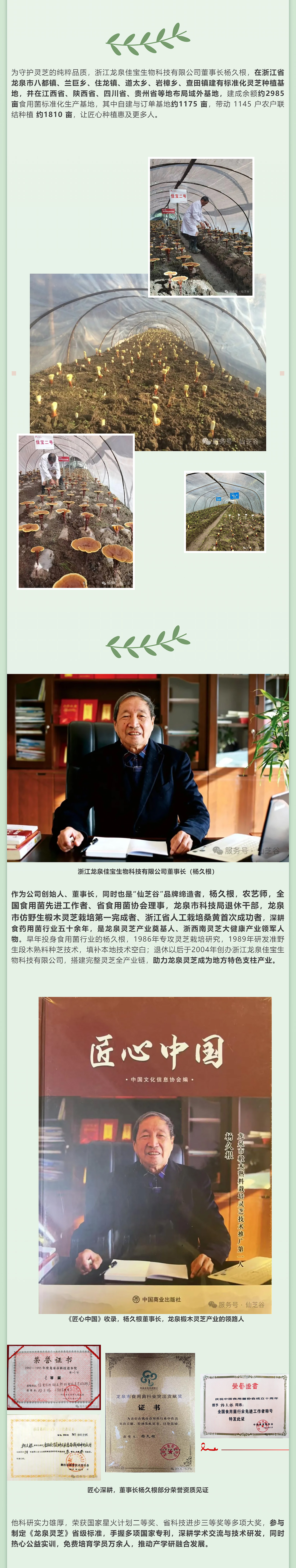 承千年芝韵，育自然鲜芽，“仙芝谷”守道地原生好物(图3)