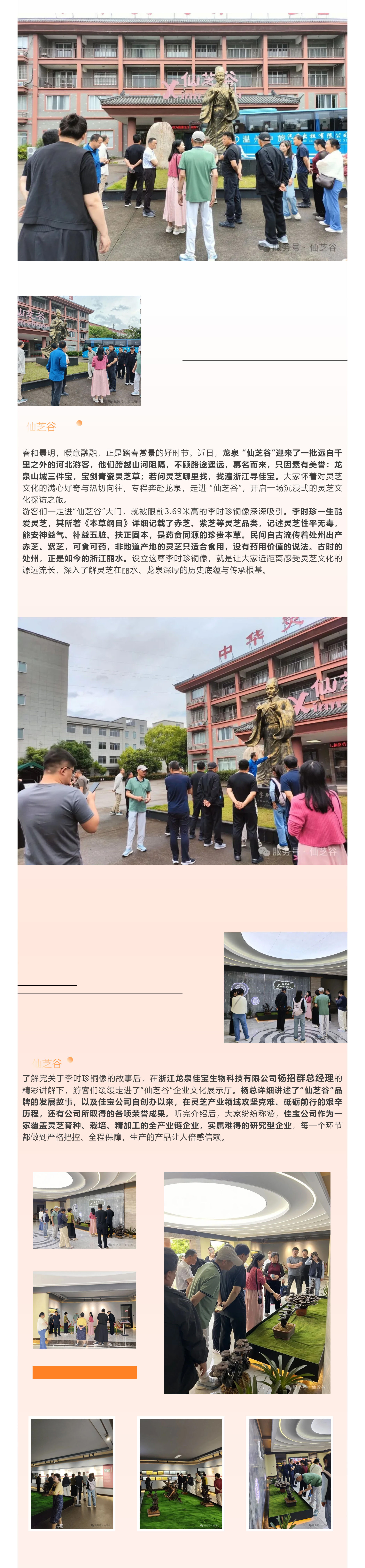 春赏仙芝，探秘本草｜自华北远赴江南，走进龙泉“仙芝谷”