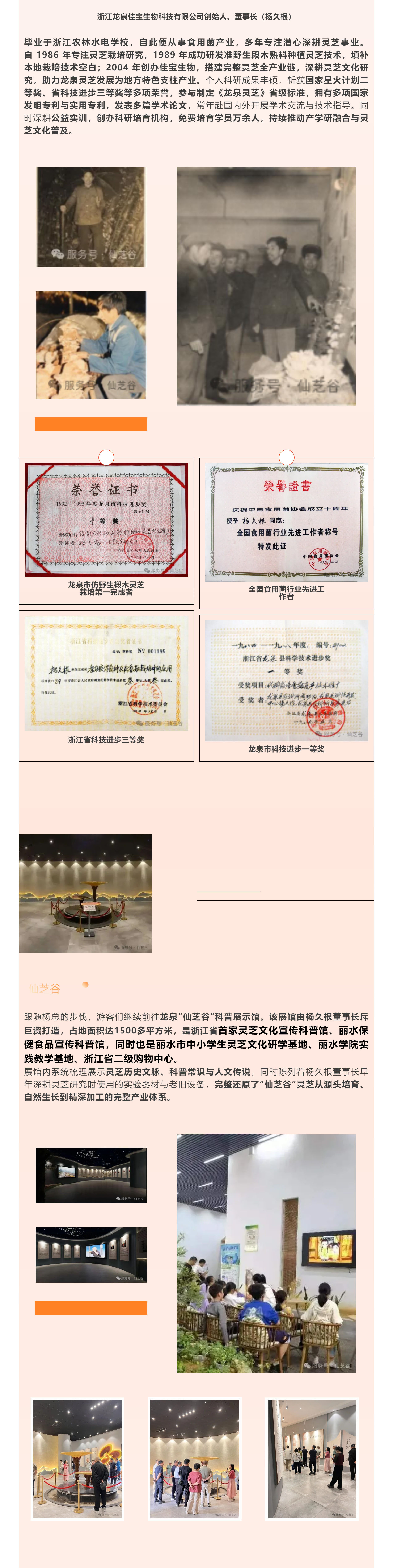 春赏仙芝，探秘本草｜自华北远赴江南，走进龙泉“仙芝谷”(图3)