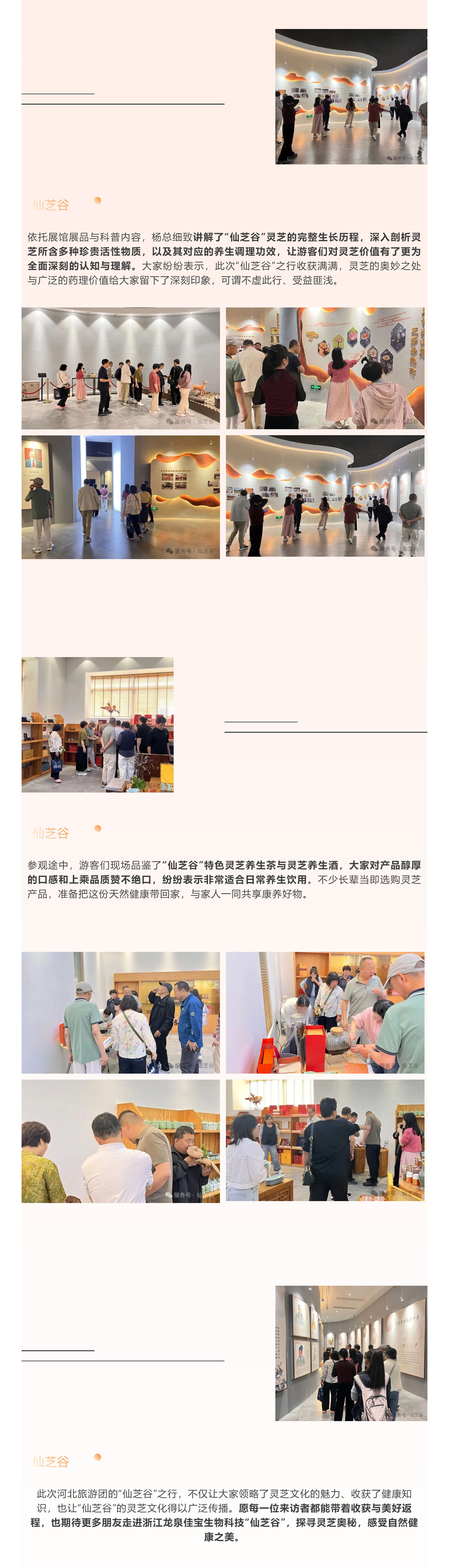 春赏仙芝，探秘本草｜自华北远赴江南，走进龙泉“仙芝谷”(图4)